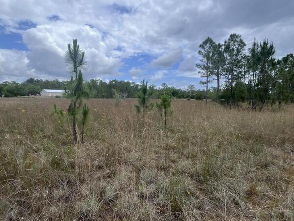 13450 85th Street, Fellsmere, FL 32948
