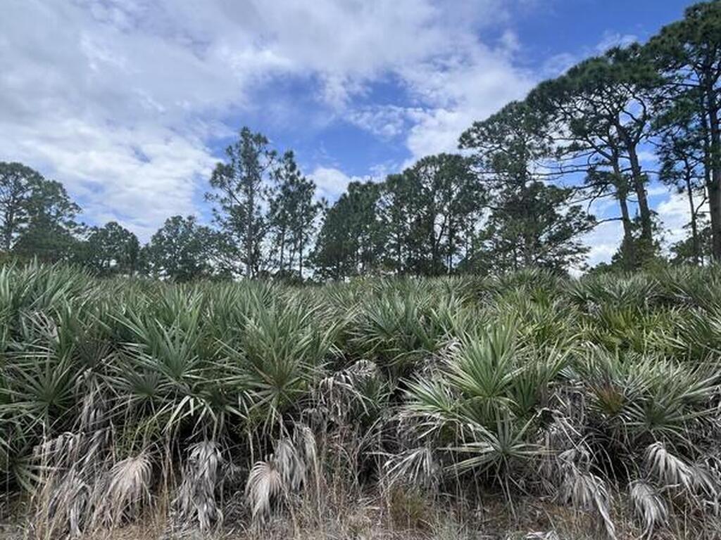 13450 85th Street, Fellsmere, FL 32948