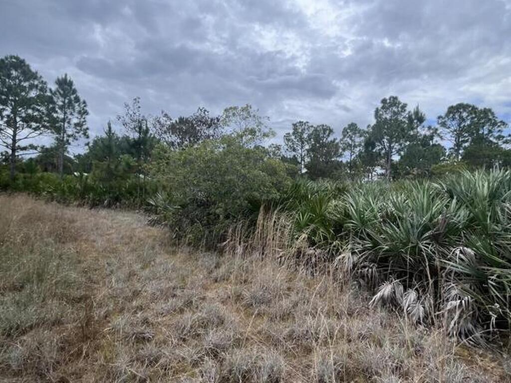 13450 85th Street, Fellsmere, FL 32948