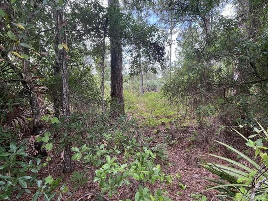 13450 85th Street, Fellsmere, FL 32948