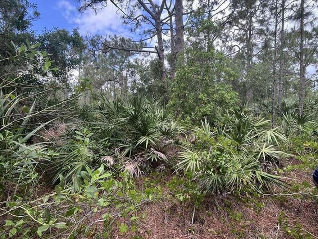 13450 85th Street, Fellsmere, FL 32948