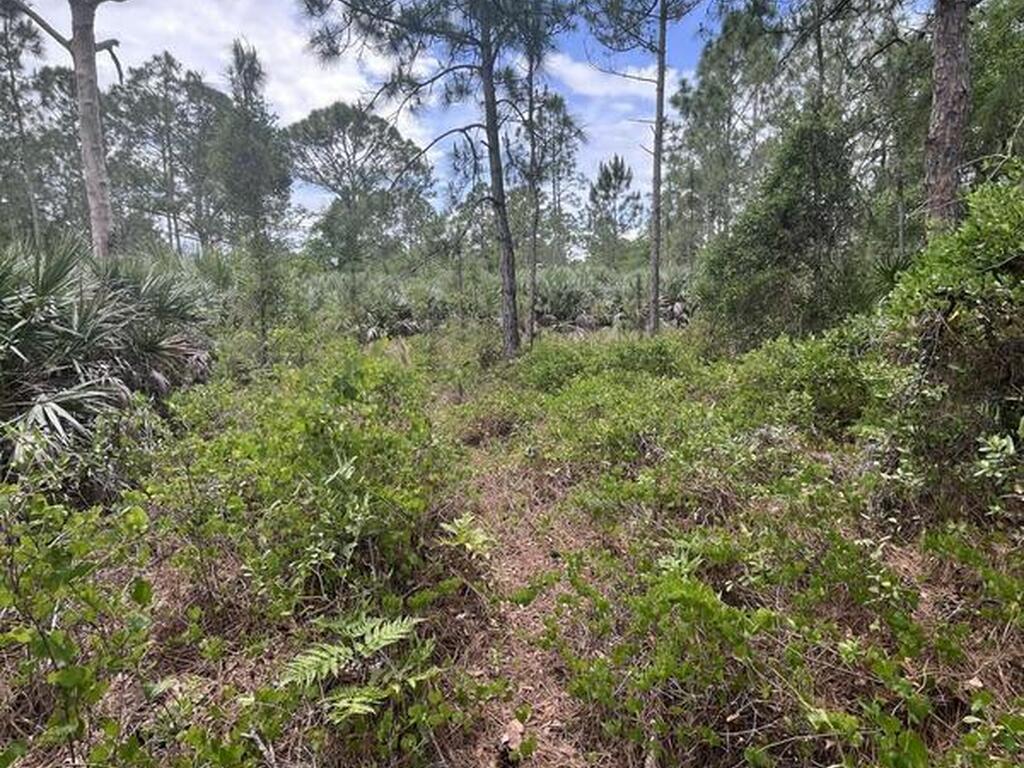 13450 85th Street, Fellsmere, FL 32948