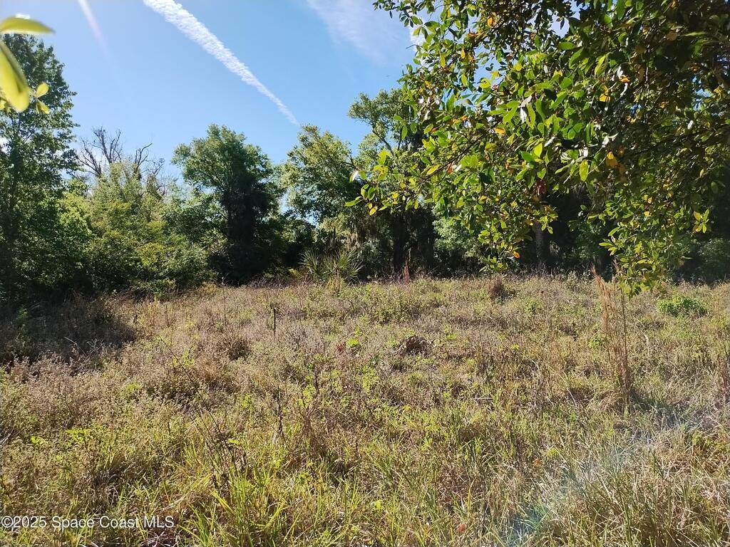 2637 Myrtle Avenue, Mims, FL 32754