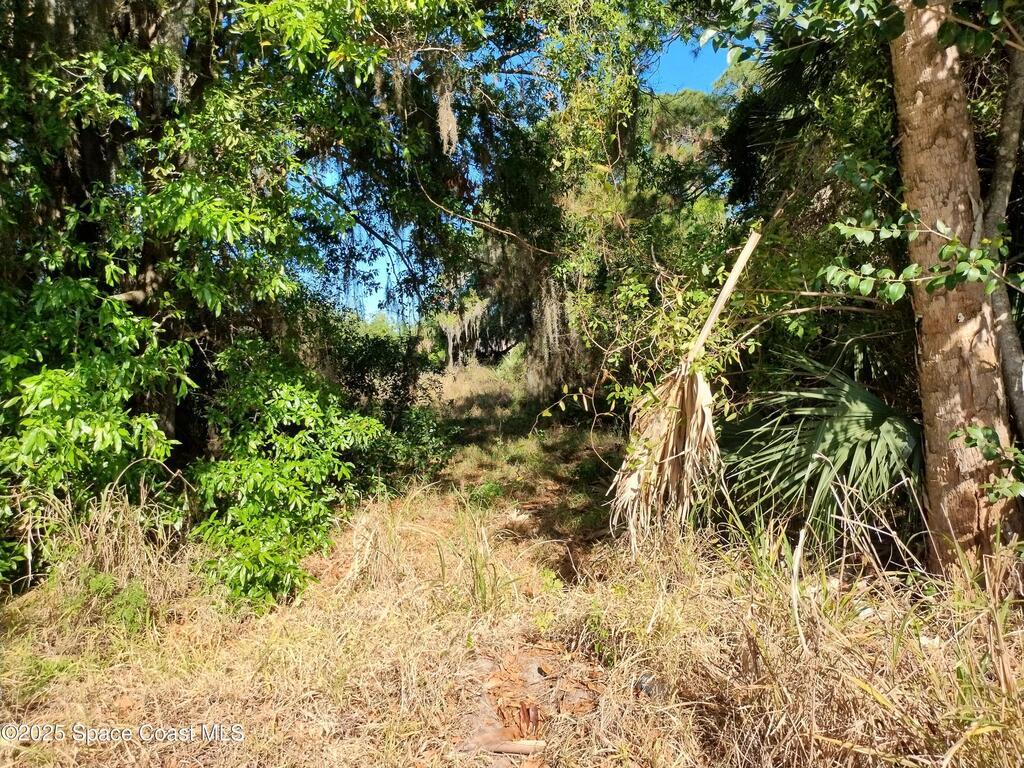 2656 Orange Avenue, Mims, FL 32754