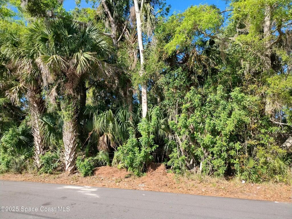 2656 Orange Avenue, Mims, FL 32754