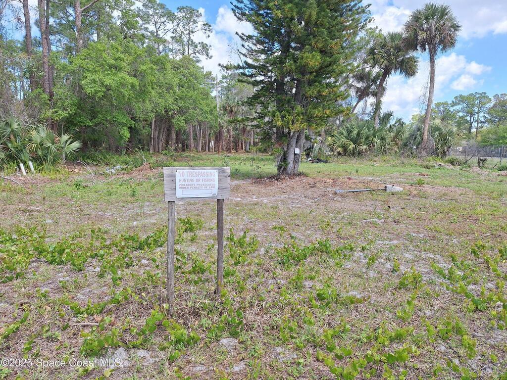 25535 Luke St Street, Christmas, FL 32709