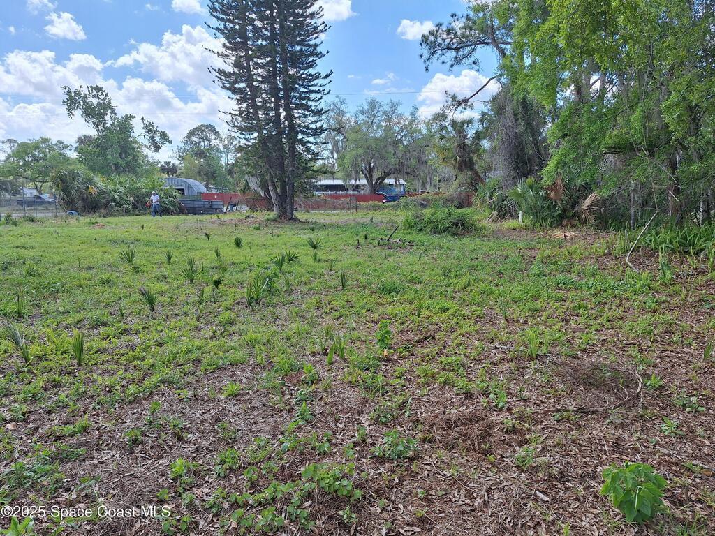 25535 Luke St Street, Christmas, FL 32709