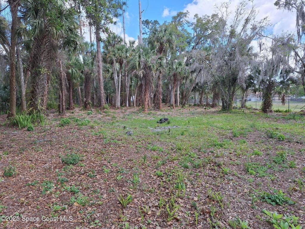 25535 Luke St Street, Christmas, FL 32709