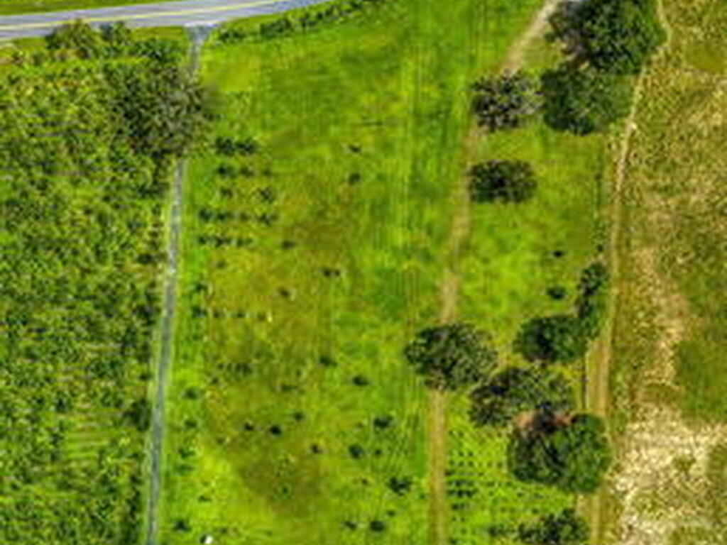 N Tropical Trail, Merritt Island, FL 32953