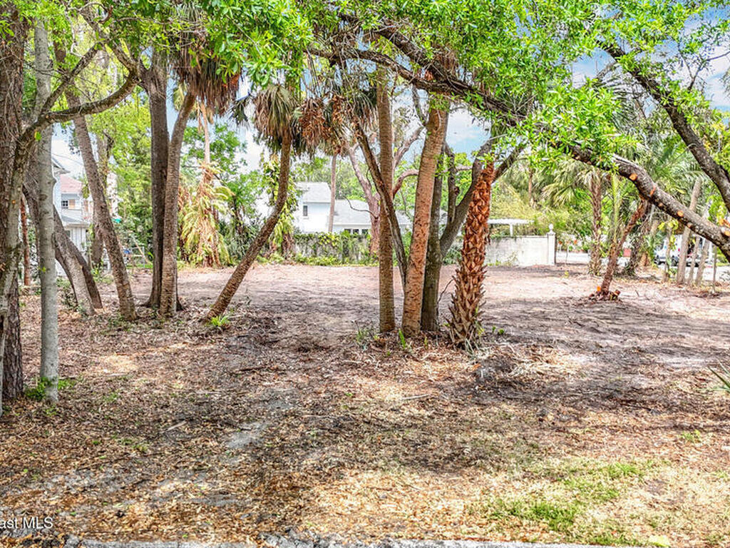 4701 W Clear Avenue, Tampa, FL 33629