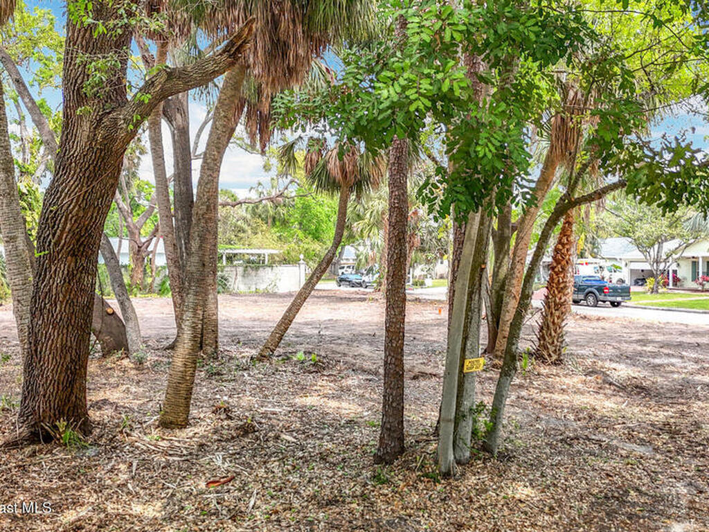4701 W Clear Avenue, Tampa, FL 33629