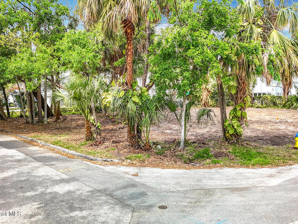 4701 W Clear Avenue, Tampa, FL 33629