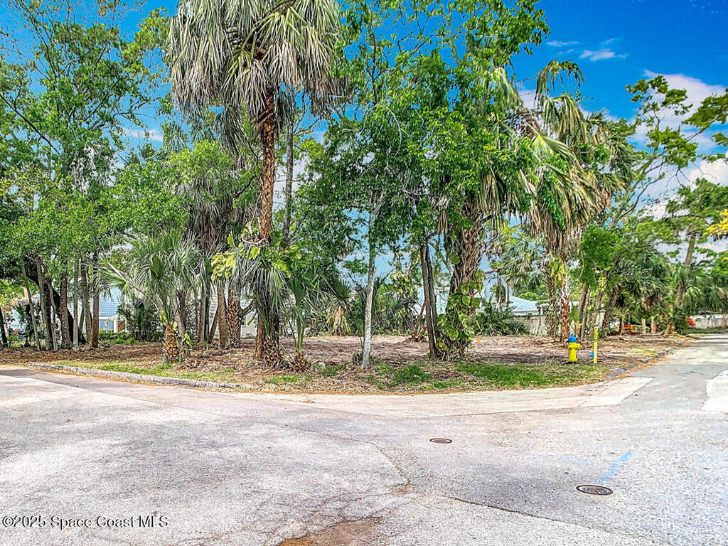 4701 W Clear Avenue, Tampa, FL 33629