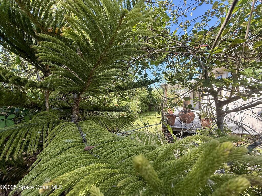 3960 Raney Road, Titusville, FL 32780