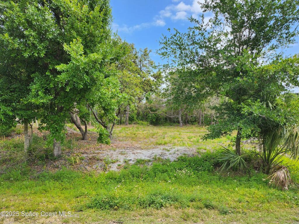 11136 Mulberry Street, Sebastian, FL 32958