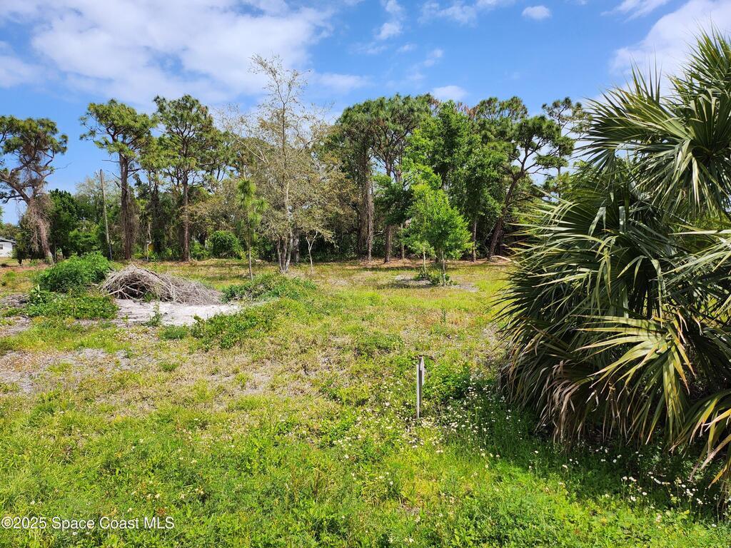 11136 Mulberry Street, Sebastian, FL 32958