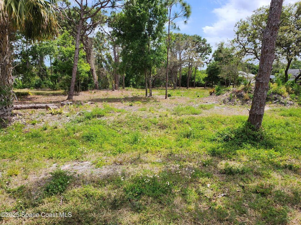 11136 Mulberry Street, Sebastian, FL 32958