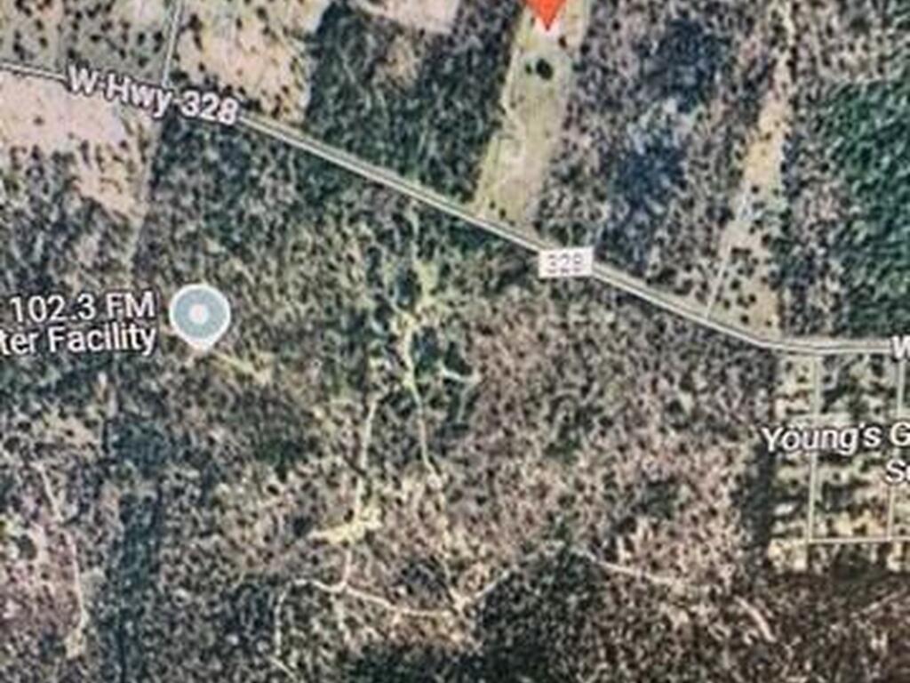 None W Parcel Number19988-001-13, Ocala, FL 34482