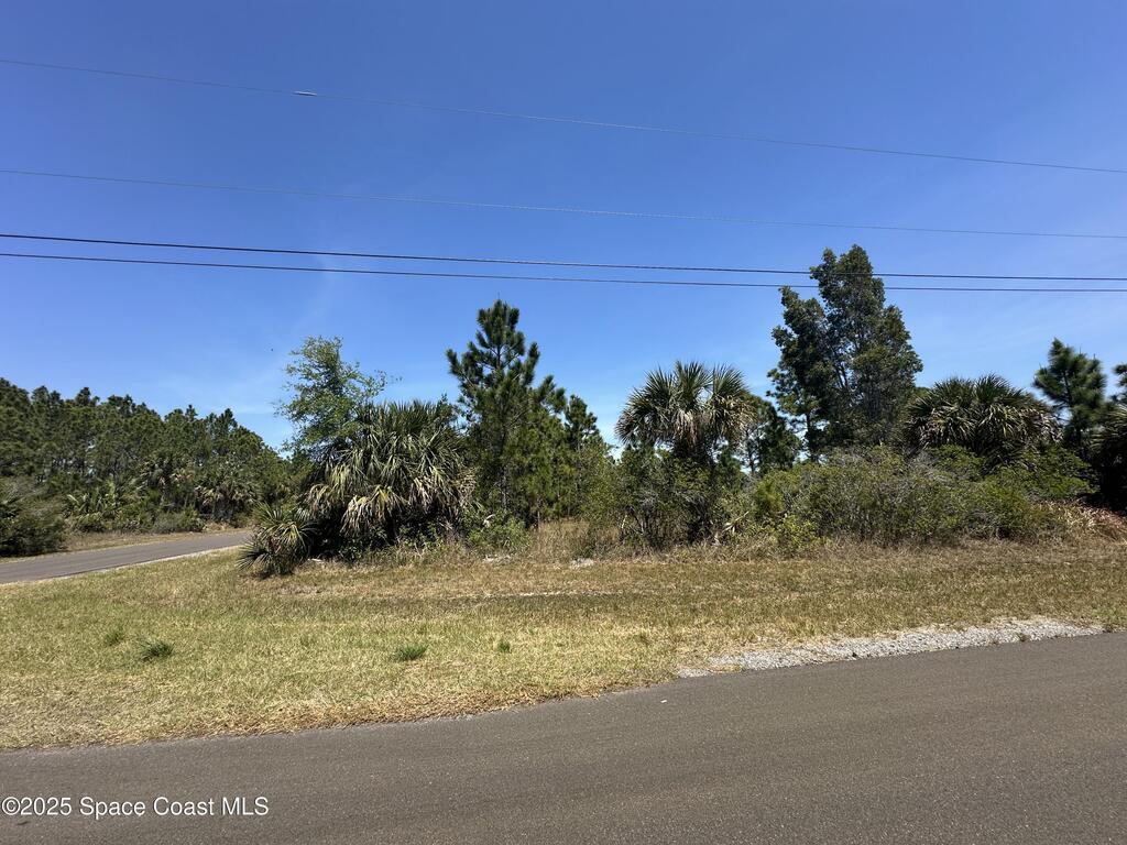 Firebrand Street, Palm Bay, FL 32908