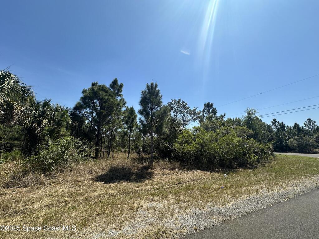 Firebrand Street, Palm Bay, FL 32908