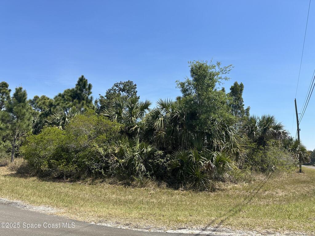 Firebrand Street, Palm Bay, FL 32908