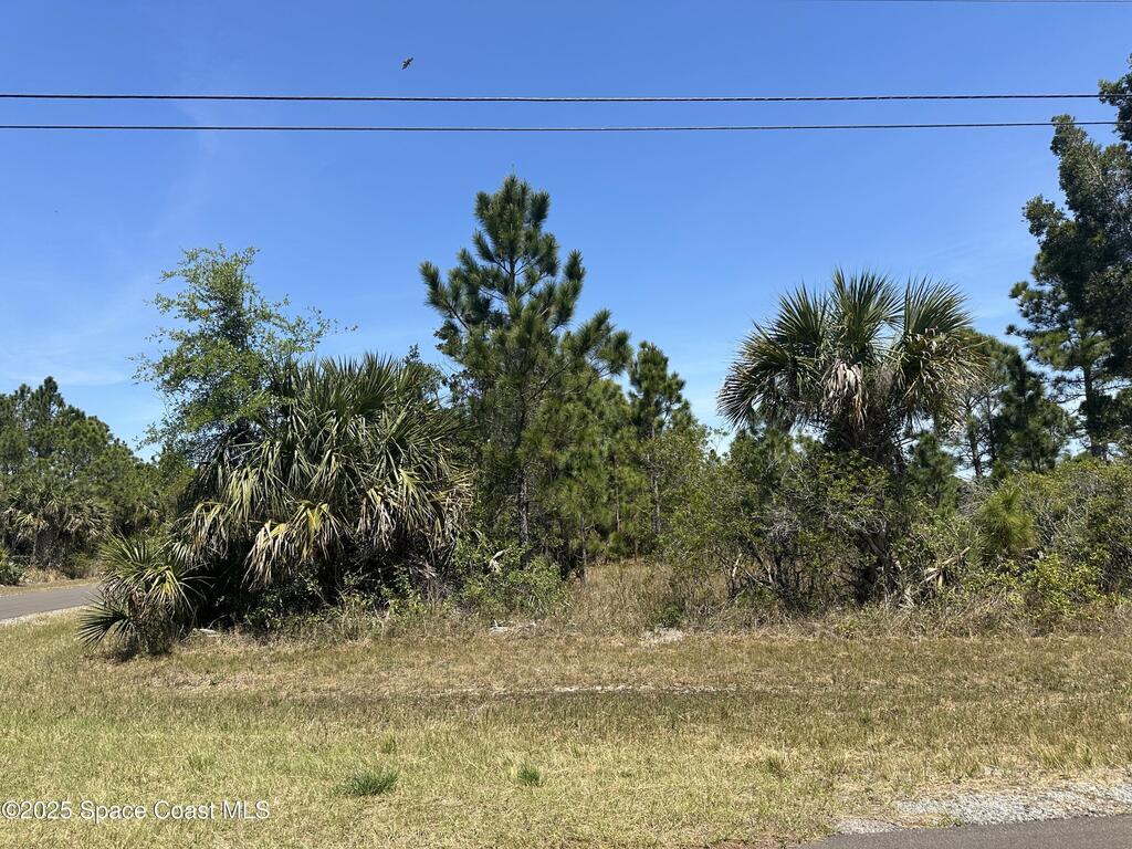 Firebrand Street, Palm Bay, FL 32908