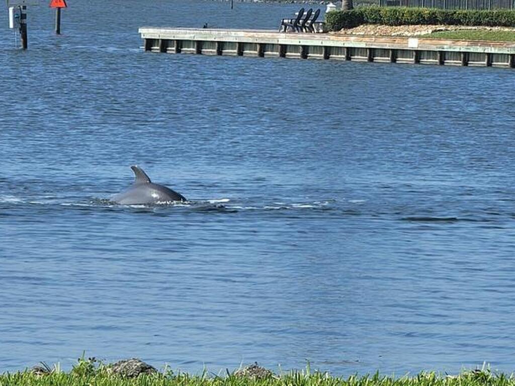 3873 S Banana River Boulevard, Cocoa Beach, FL 32931
