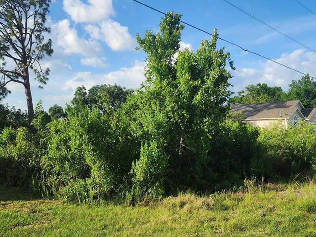 1441 Towton Street, Palm Bay, FL 32909