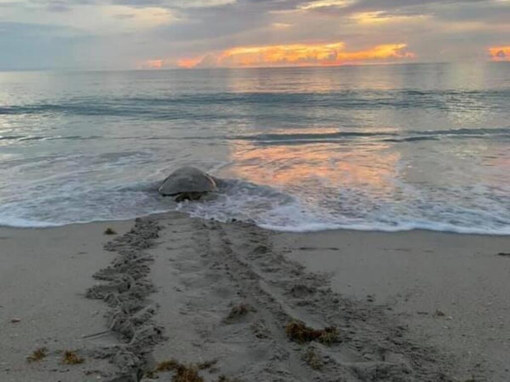 6710 Jimmy Buffet Memorial Highway, Melbourne Beach, FL 32951