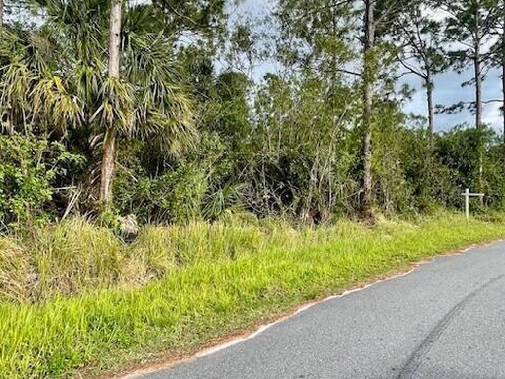Unassigned Transcoro St. And Trapp Ave., Palm Bay, FL 32909