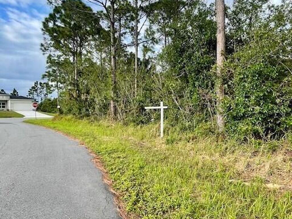 Unassigned Transcoro St. And Trapp Ave., Palm Bay, FL 32909