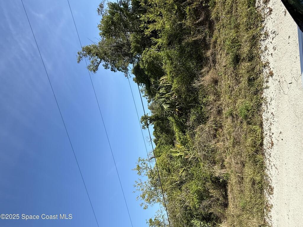0000 Joel Avenue, Mims, FL 32754
