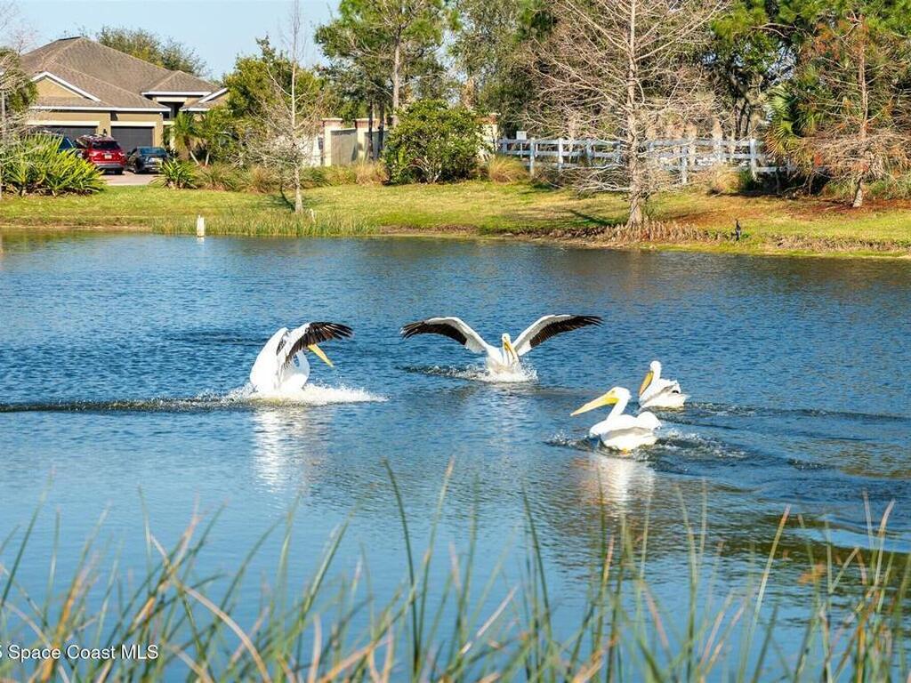 3077 Cortona Drive, Melbourne, FL 32940