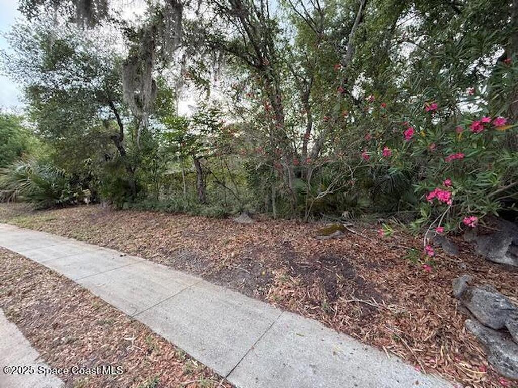 3855 Cottonwood Drive, Titusville, FL 32780