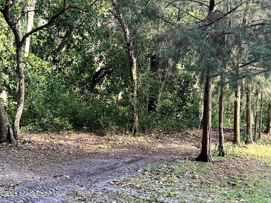 0000 Sandra Lane, Mims, FL 32754