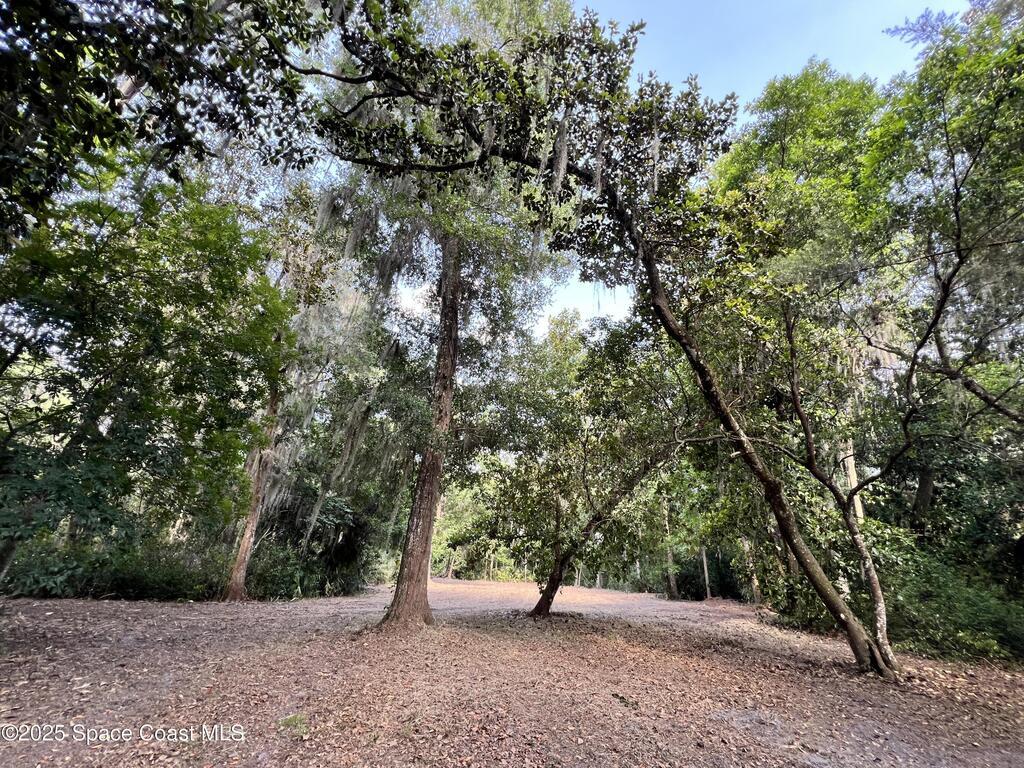 0000 Sandra Lane, Mims, FL 32754