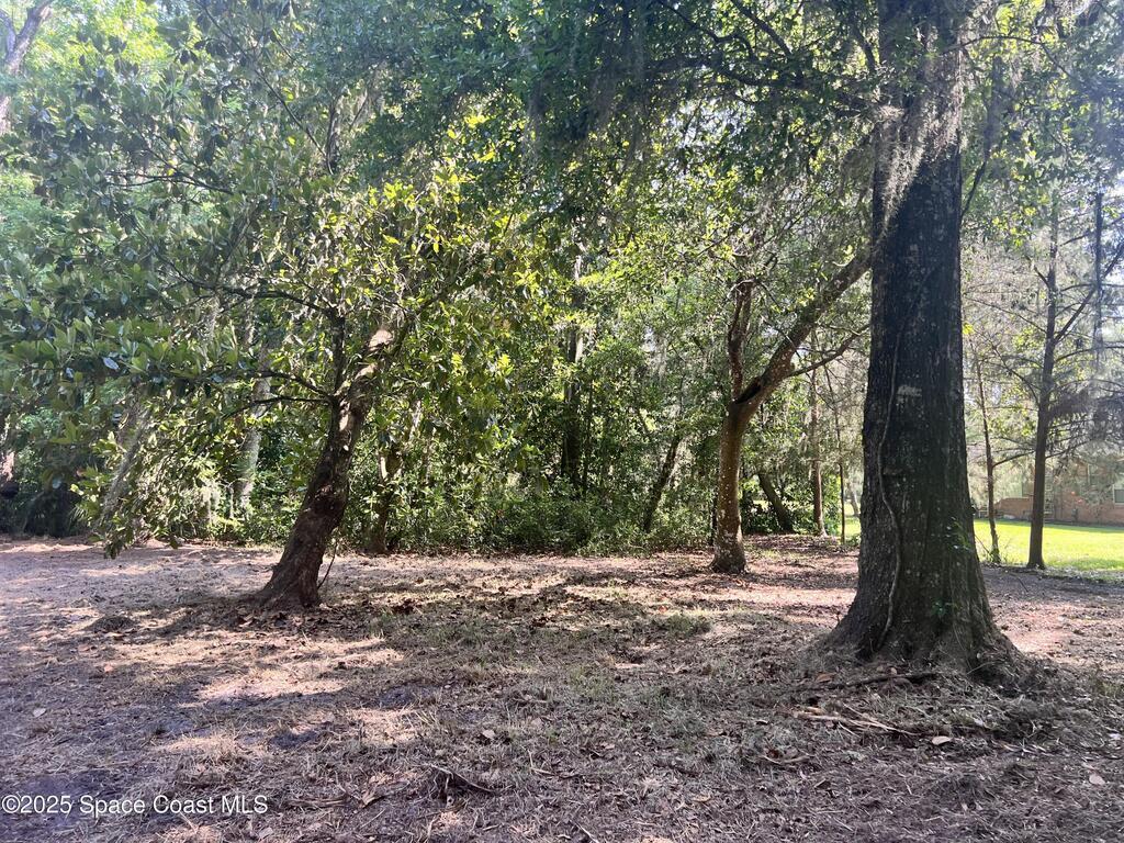 0000 Sandra Lane, Mims, FL 32754