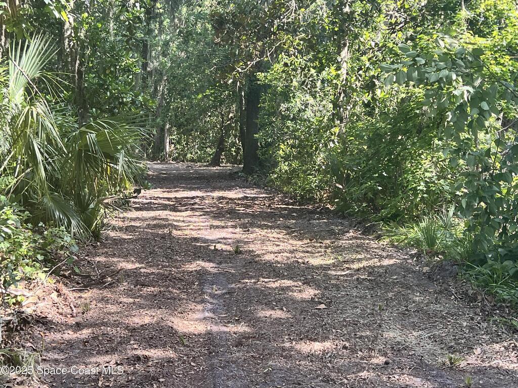 0000 Sandra Lane, Mims, FL 32754