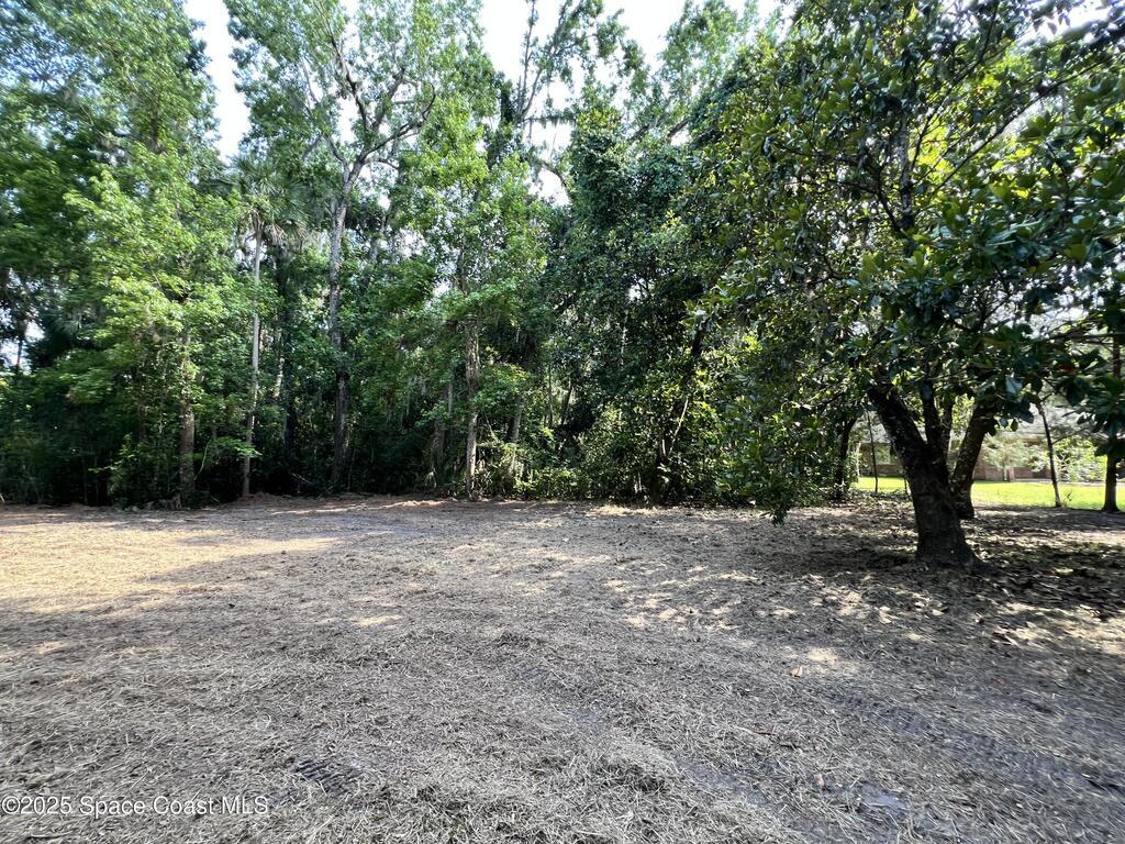 0000 Sandra Lane, Mims, FL 32754
