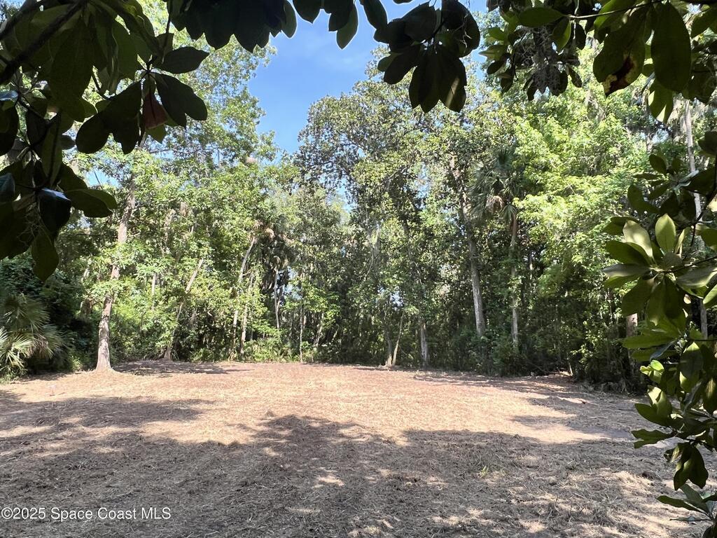 0000 Sandra Lane, Mims, FL 32754