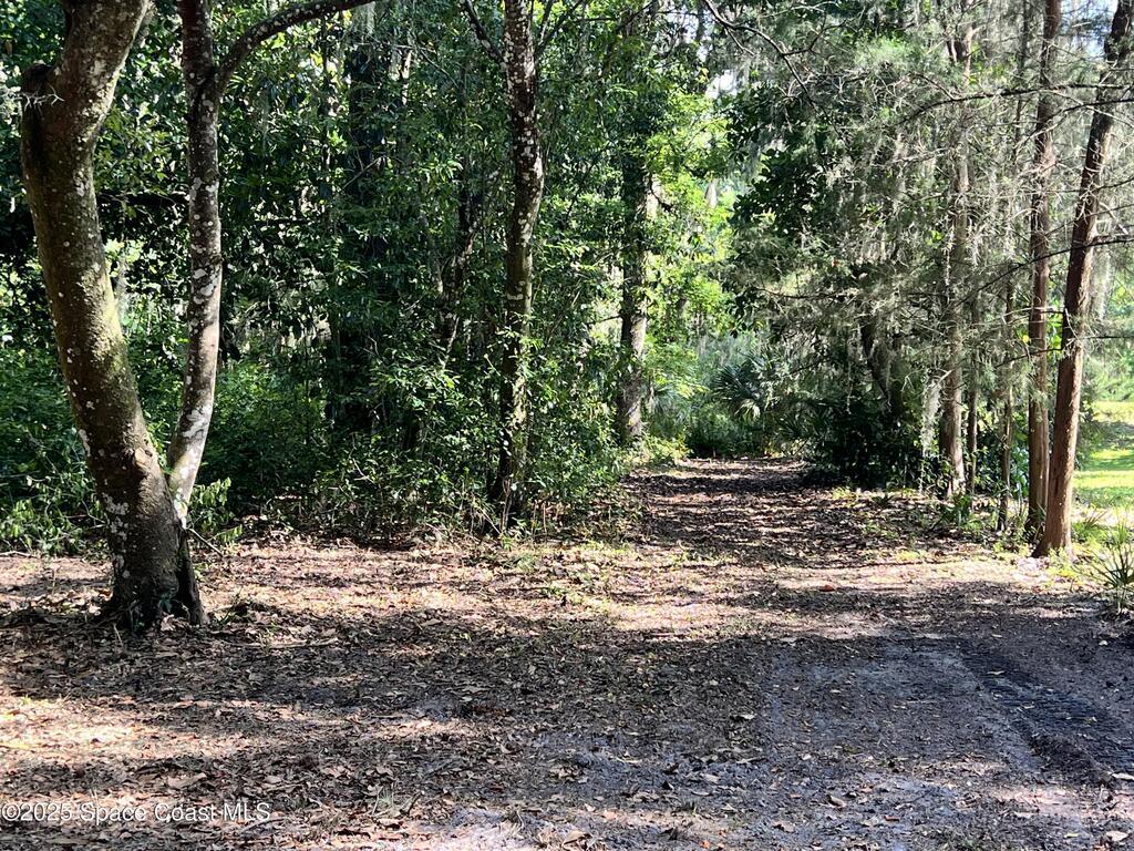 0000 Sandra Lane, Mims, FL 32754