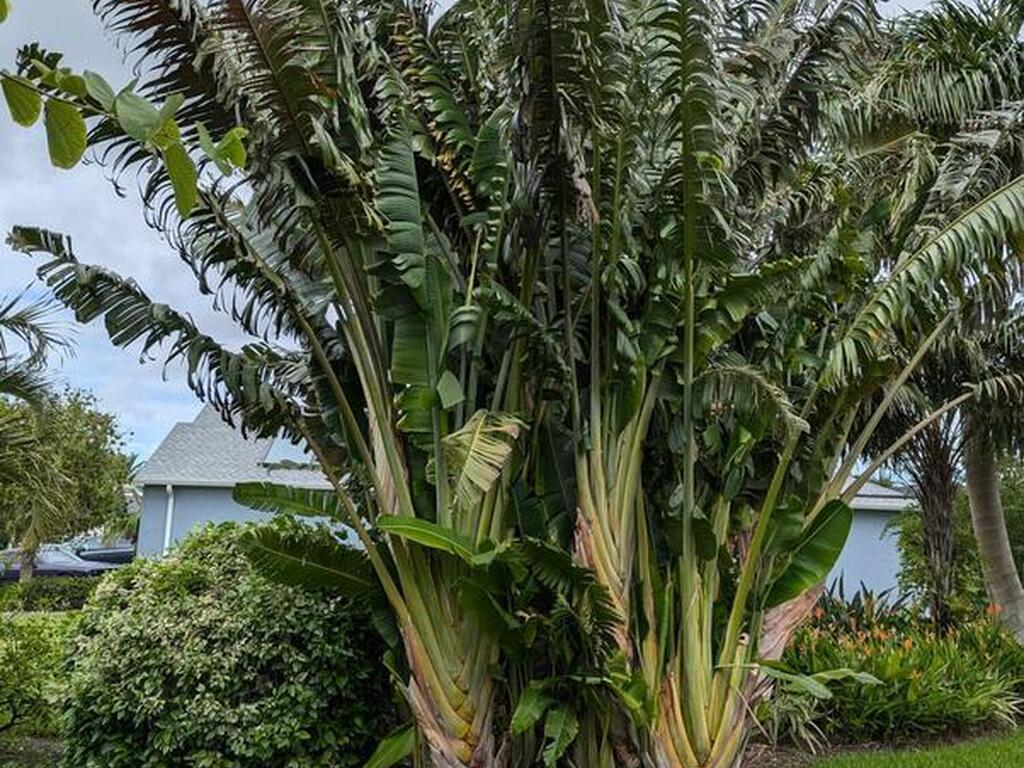 6063 Goleta Circle, Melbourne, FL 32940