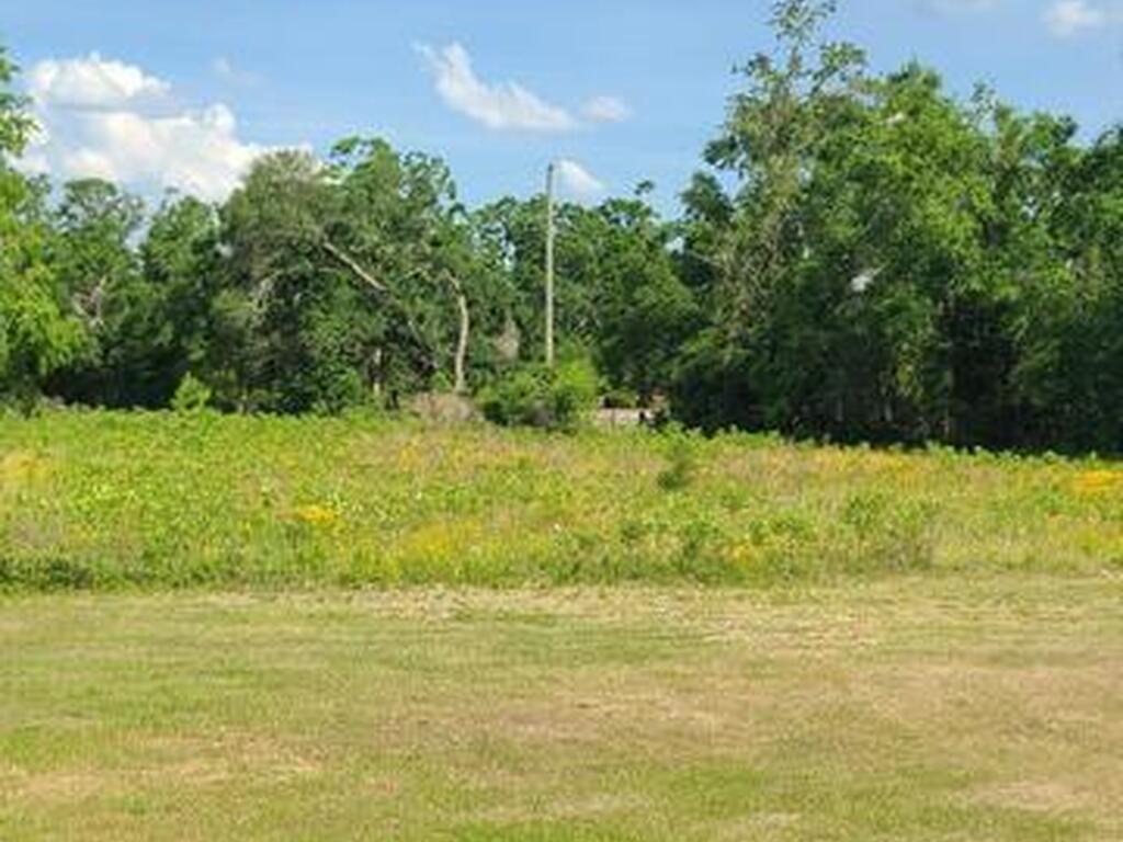 17189 County Road 252, Live Oak, FL 32060