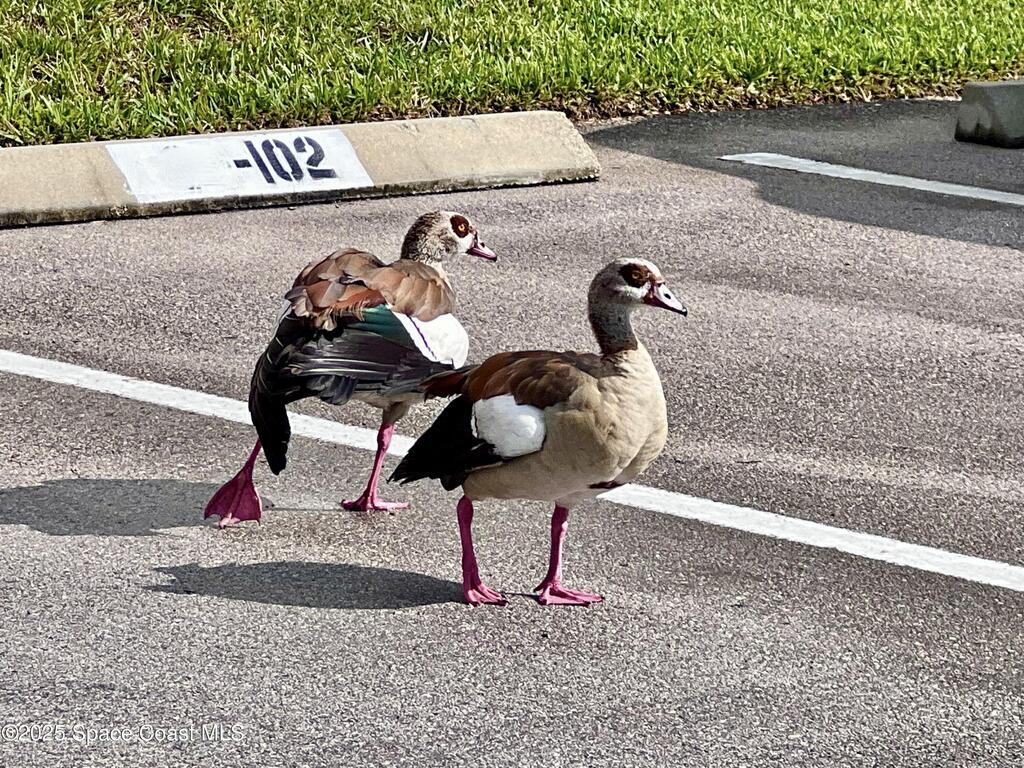 70 Royal Oak Court, Vero Beach, FL 32962