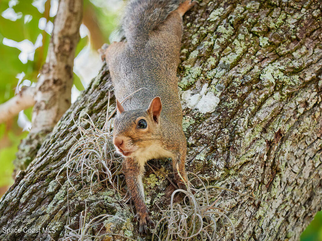 70 Royal Oak Court, Vero Beach, FL 32962