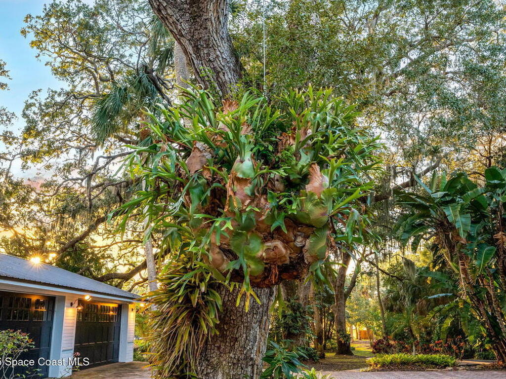 4185 Crooked Mile Road Road, Merritt Island, FL 32952