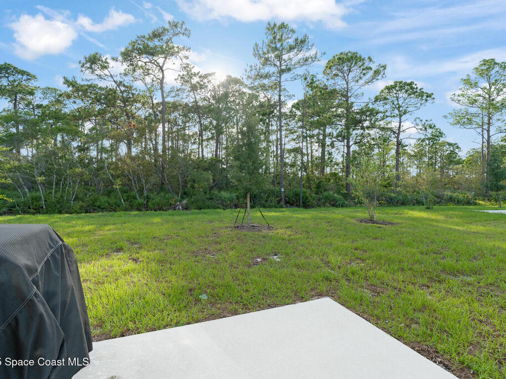 3941 Willowbrook Drive, Edgewater, FL 32141