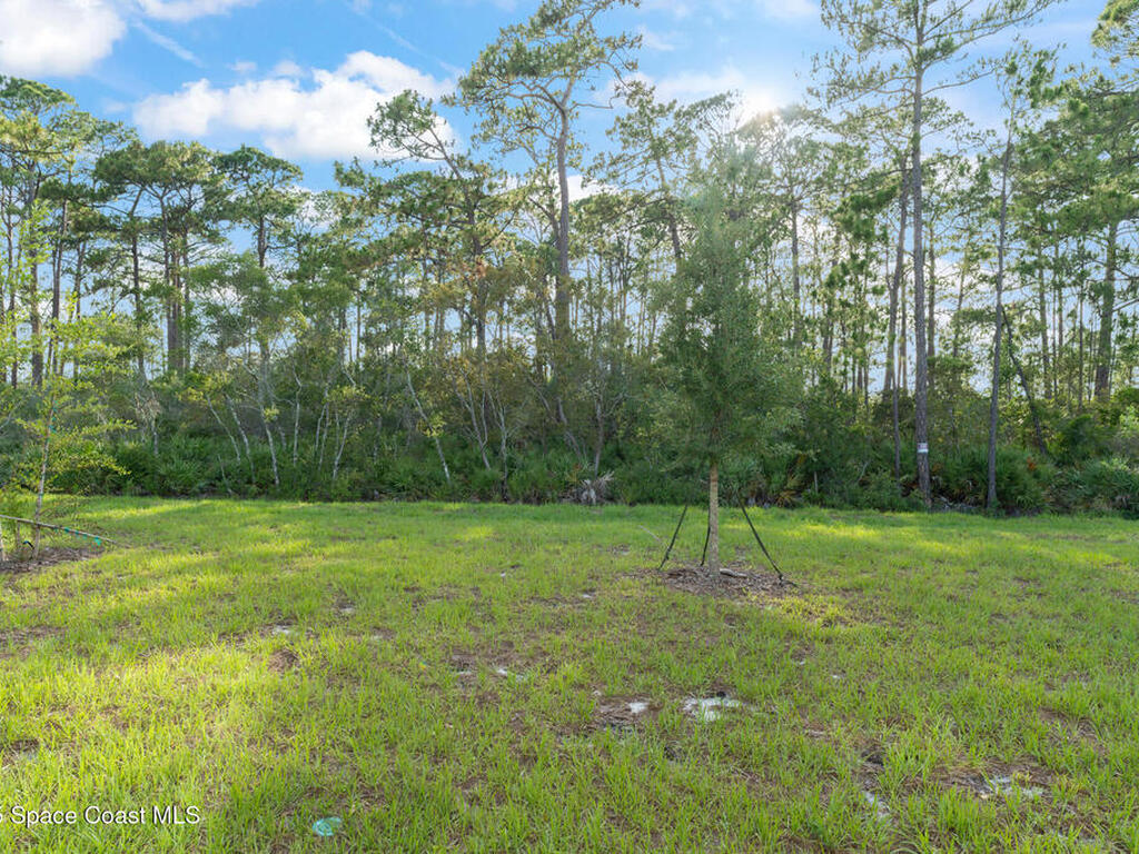 3941 Willowbrook Drive, Edgewater, FL 32141