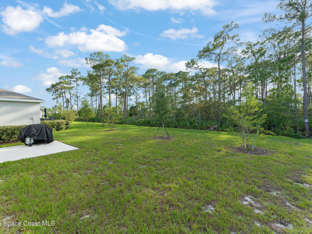 3941 Willowbrook Drive, Edgewater, FL 32141