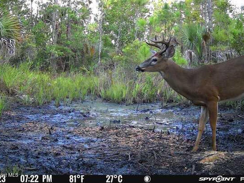 0000 Unknown, Mims, FL 32754